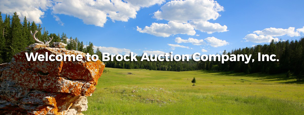 Welcome to Brock Auction Company, Inc.